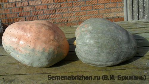 Изящная