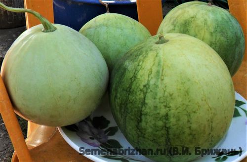 Мраморный