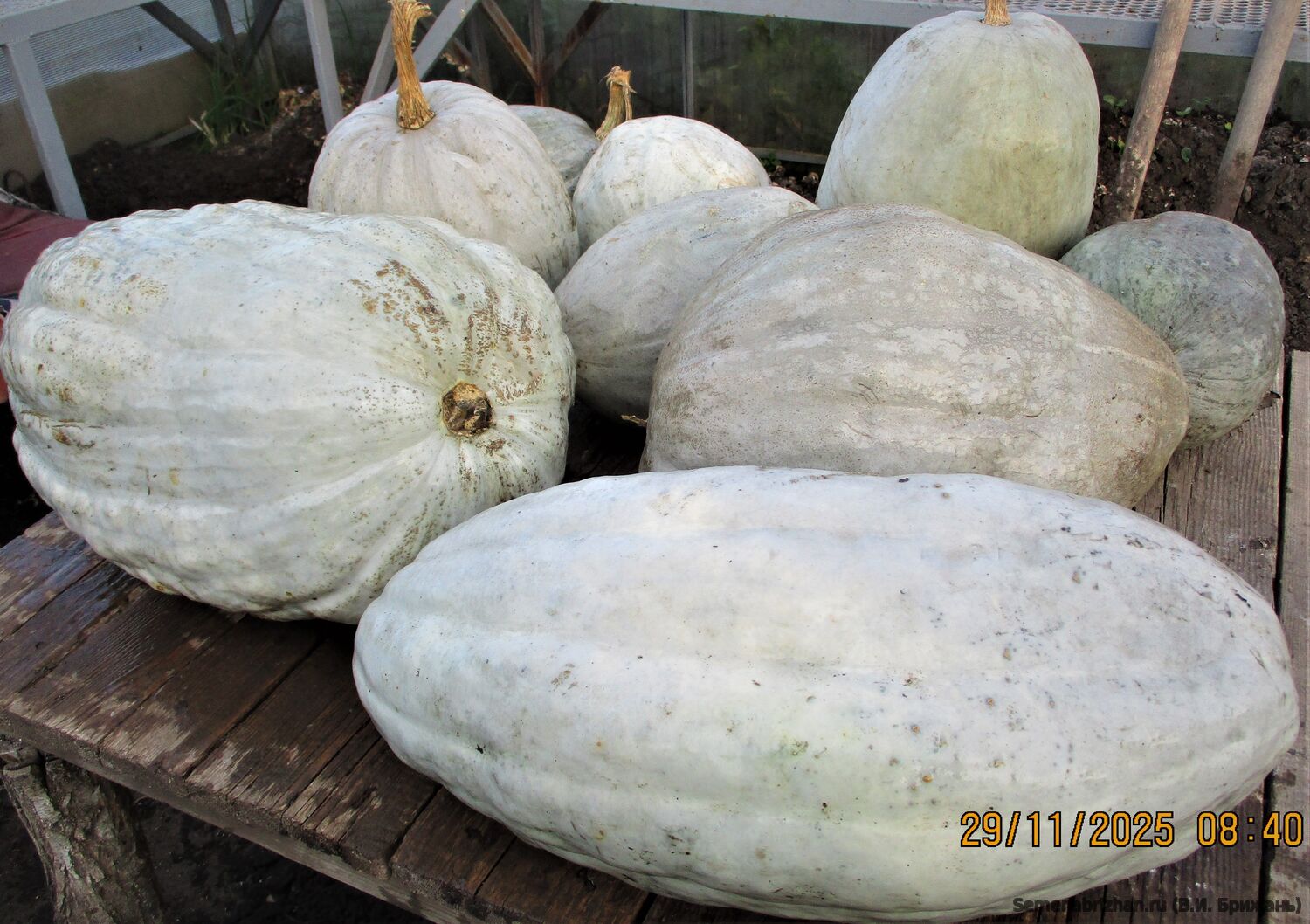 Цилиндрический