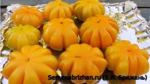 Beauty Lottringa Orange