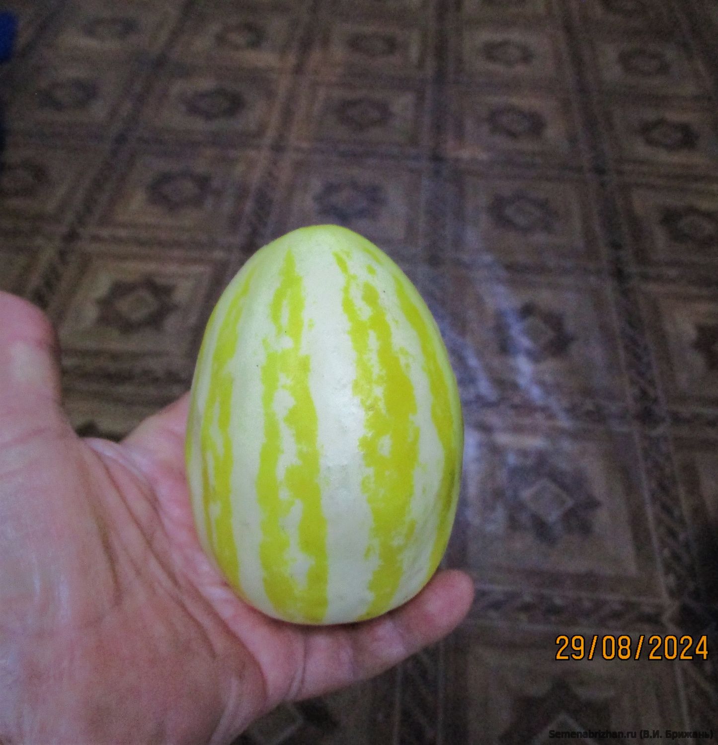 Сяо Мао