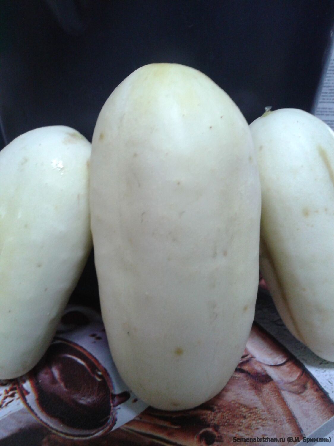 Salt and Pepper (Соль и перец)