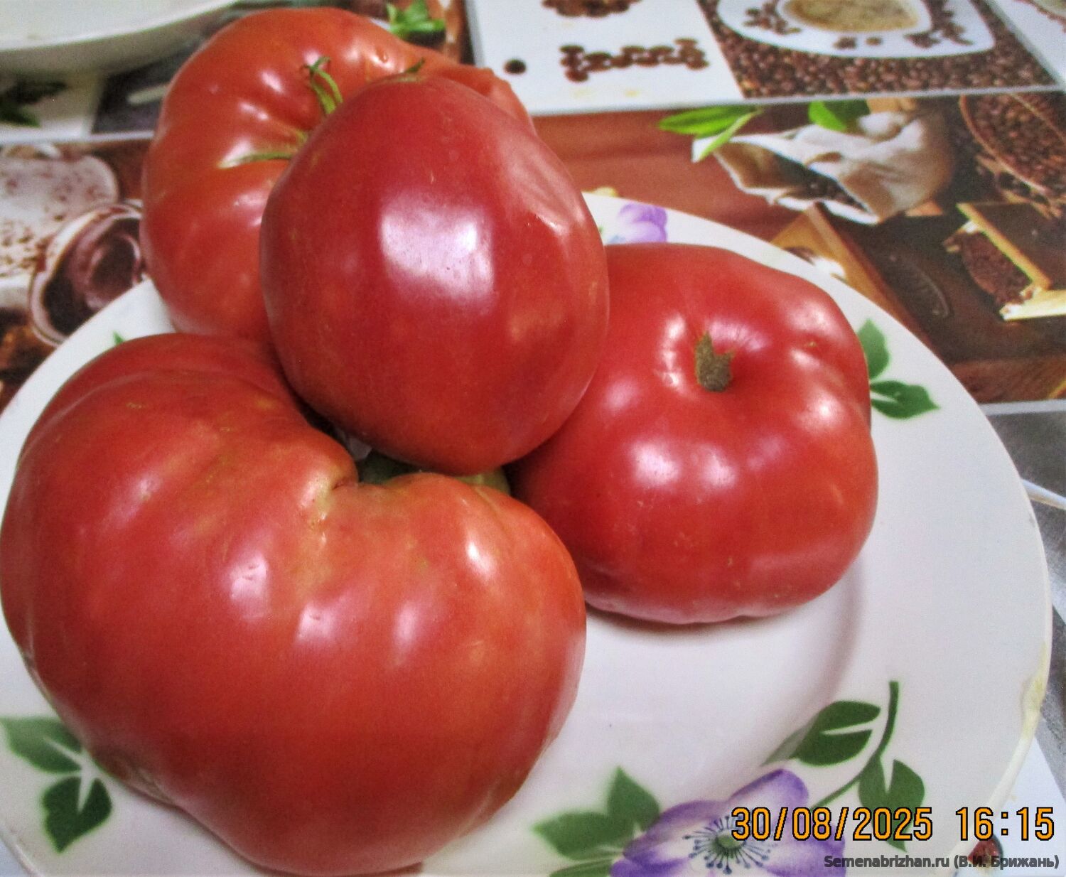 Щедрый Гигант