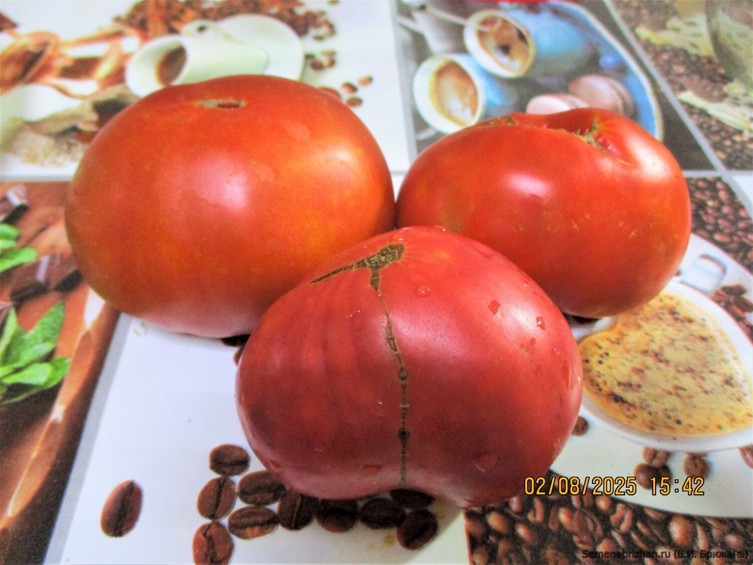 Минусинский Низкий