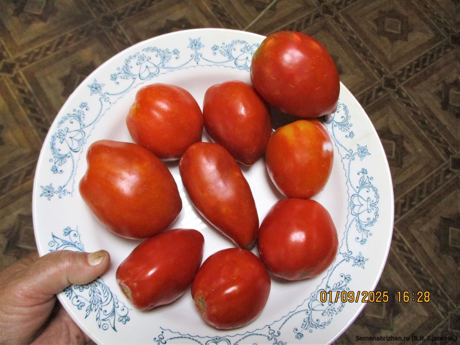 Huevo Toro Del Rio Guadarrama