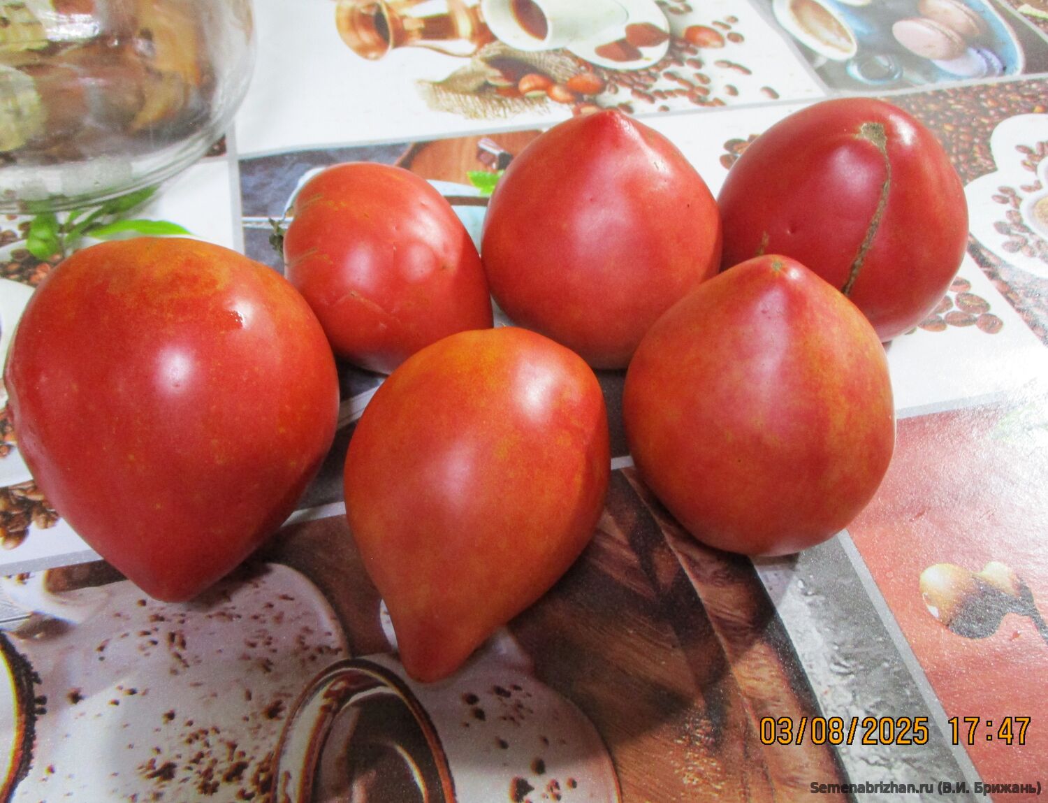 Яйцо Быка с Реки Гуадарpама