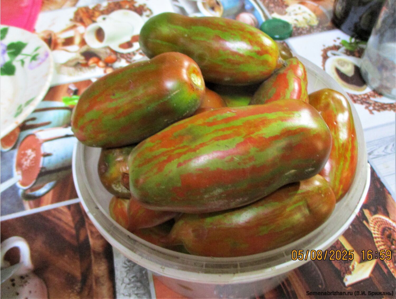 Dwarf Boxer Rebellion (Гном Восстание Боксера)