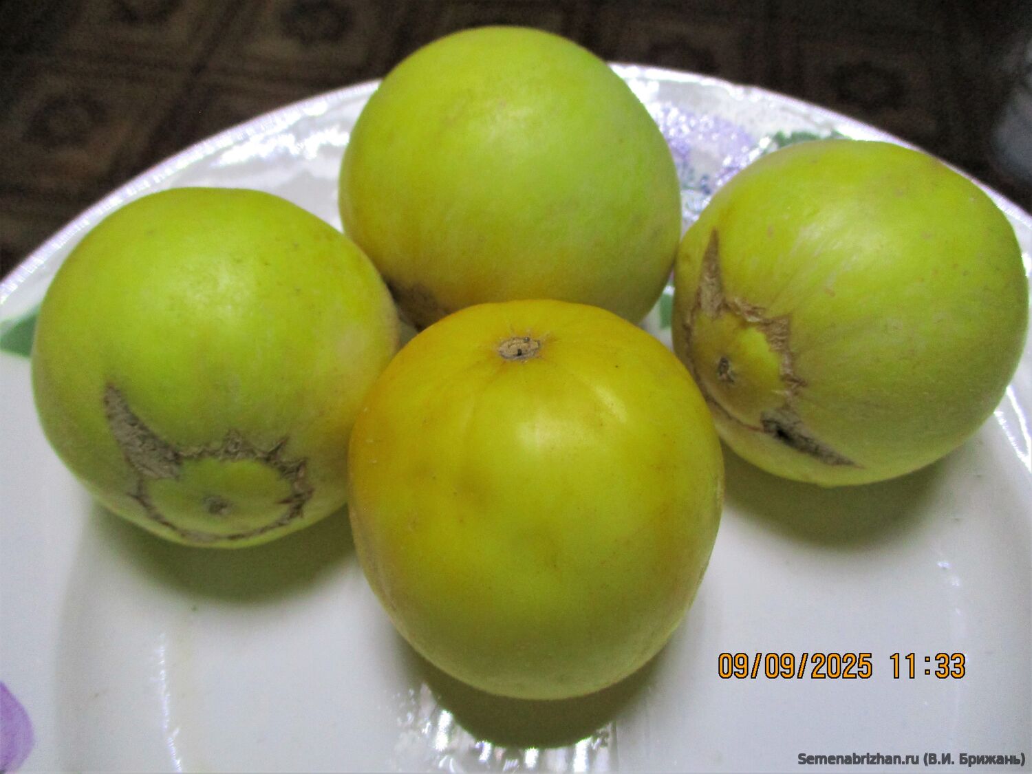 Yellow River Honeydew