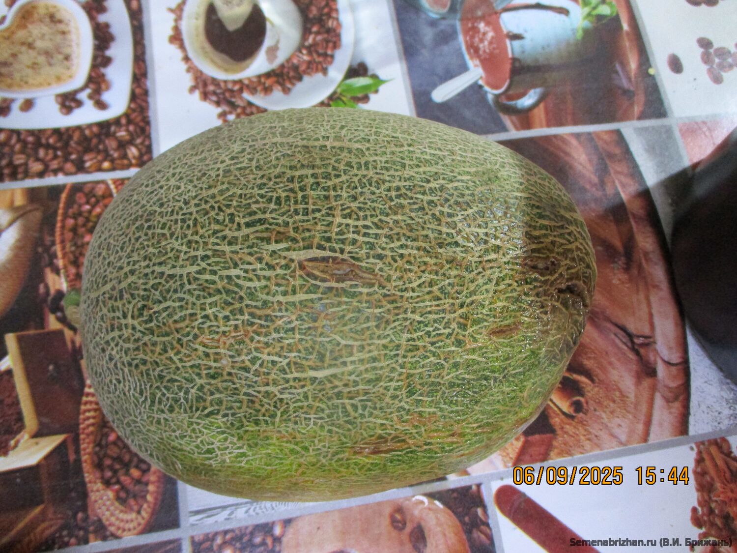 Retato Degli Ortolani