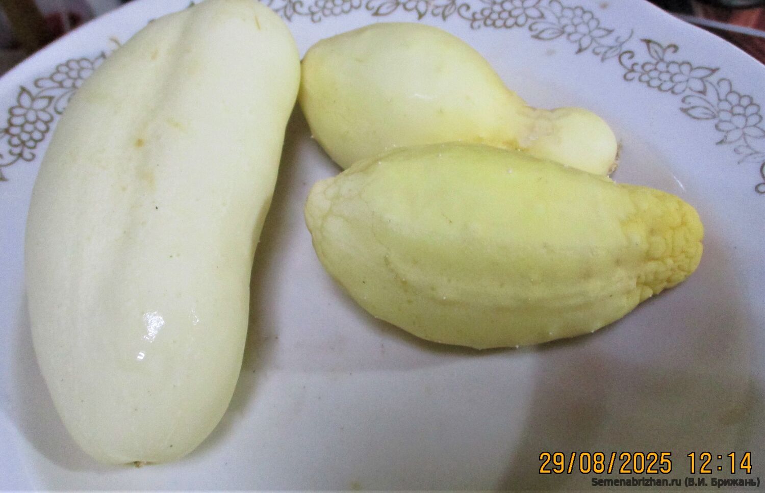 Блондинчик