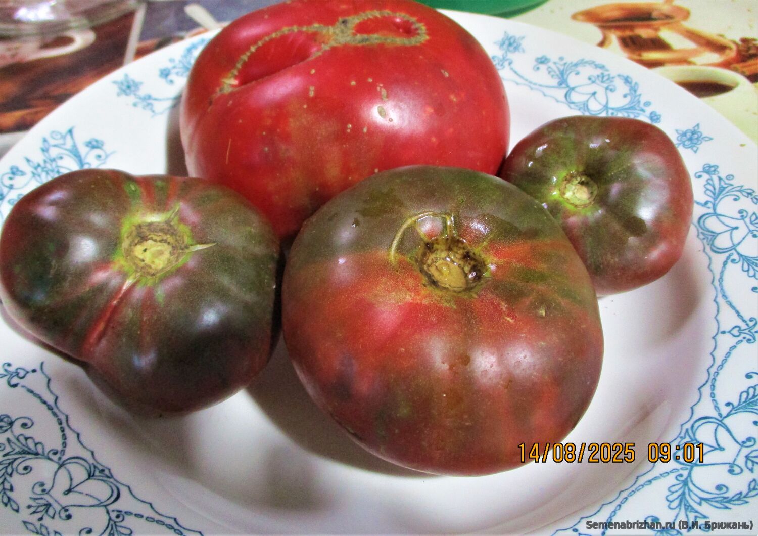 СИНИЕ (Noir Blue Fruit)