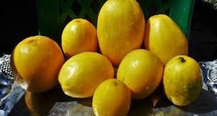 Mango Melon