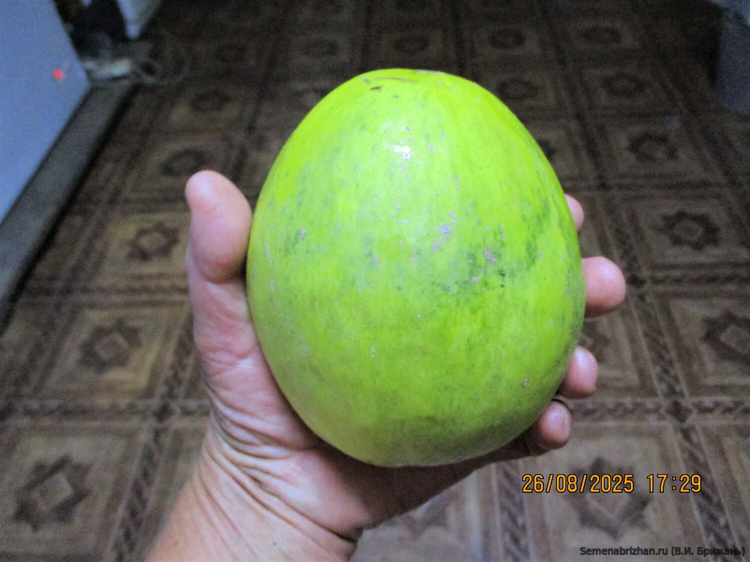 Qingyu (Цинъюй)