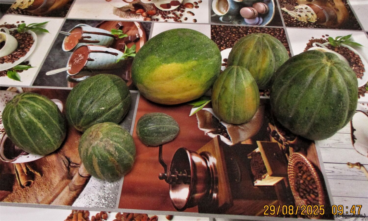 Early Hearts of Gold (Hoodoo)