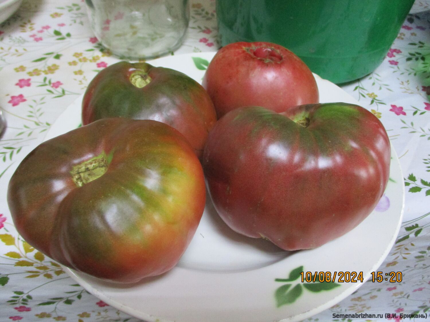 Brad’s Black Heart (Чёрное Сердце Бреда)