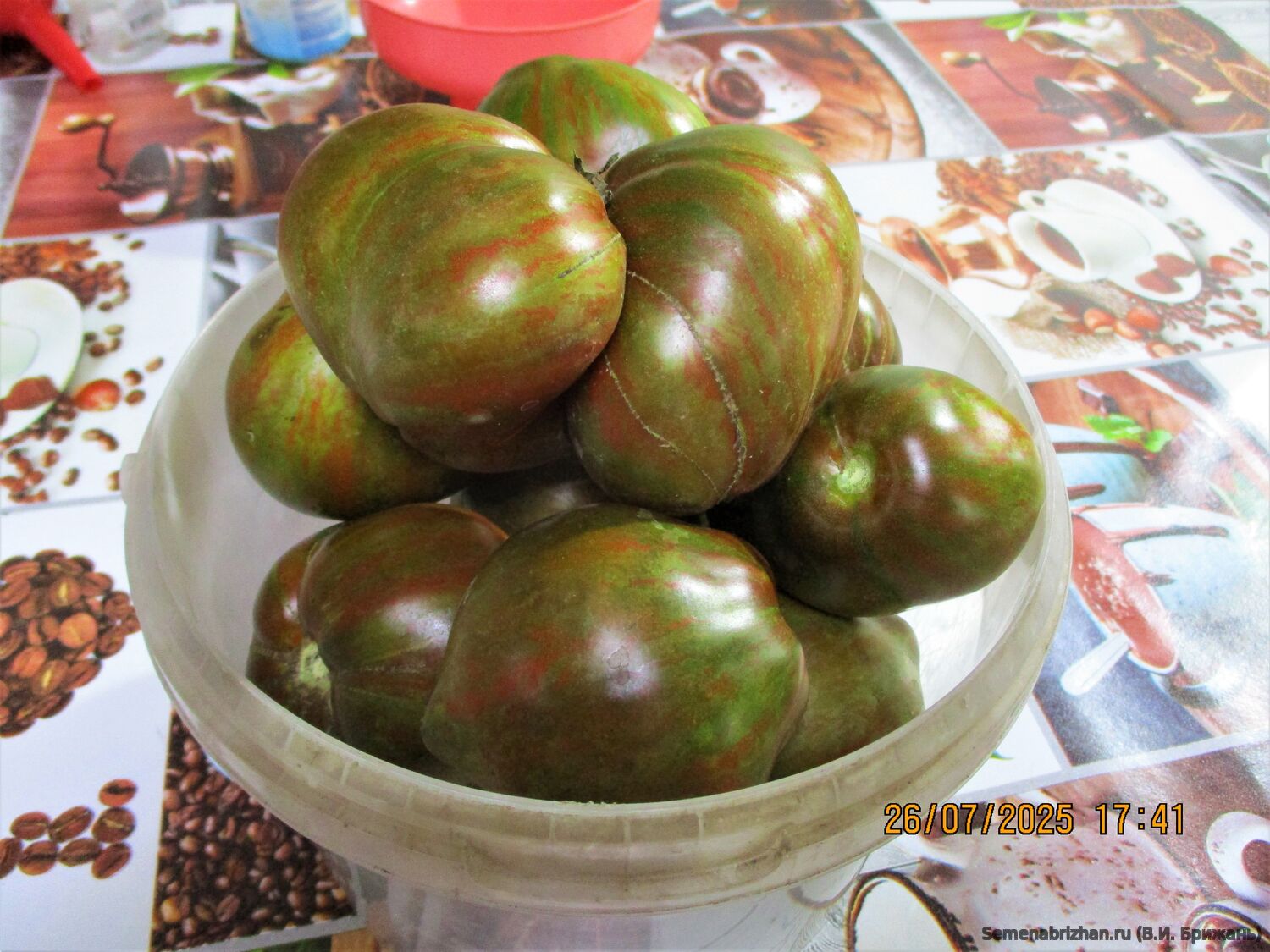 Marsha's Starfighter Heart (СЕРДЦЕ МАРШИ)