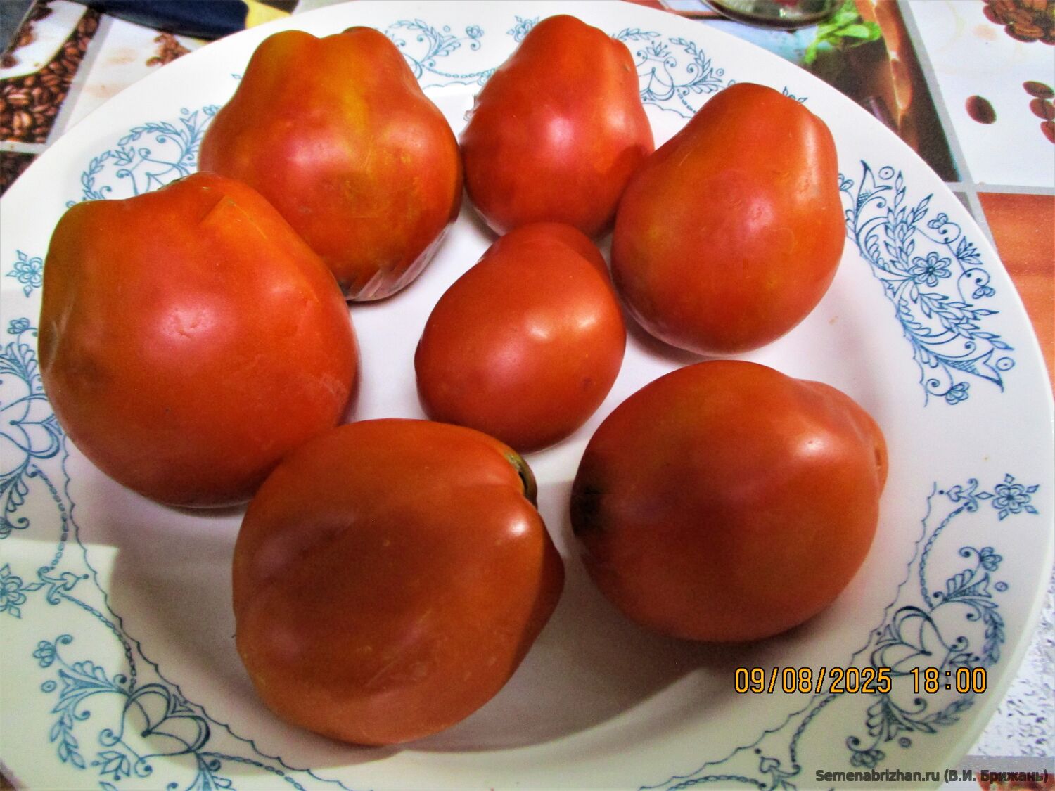 Минусинская Груша