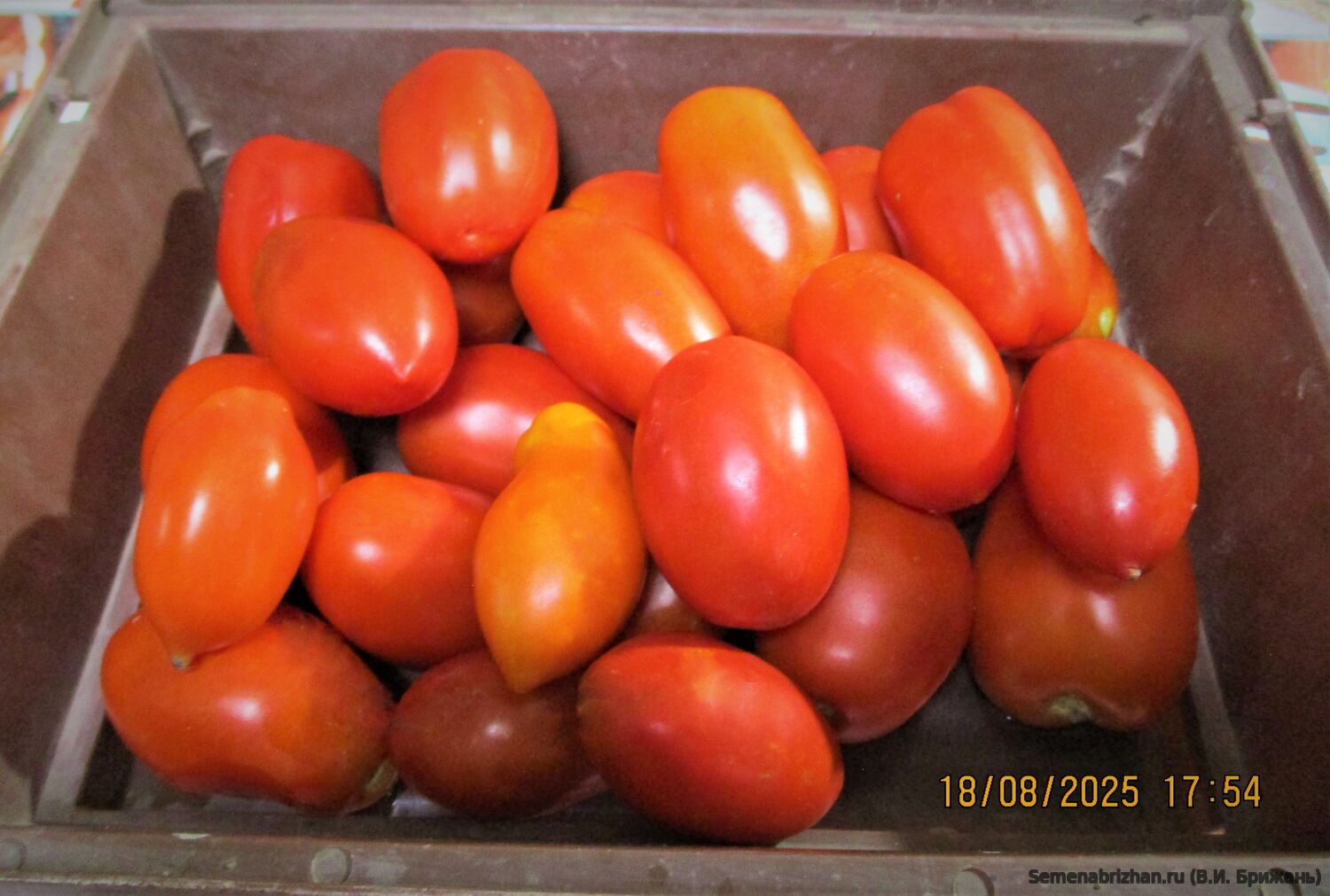 Butalina di Castellamonte