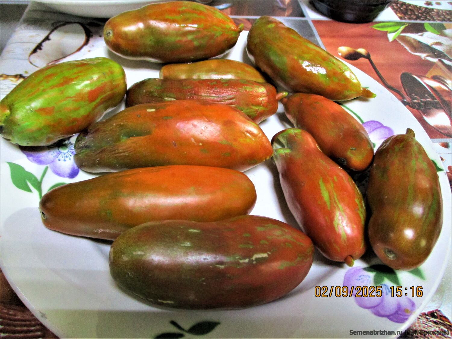 Мордовская Сосиска