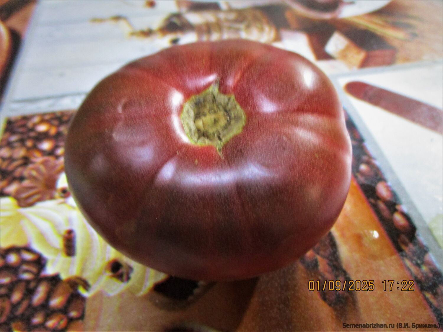 Dwarf Boronia, Happy или Счастливый