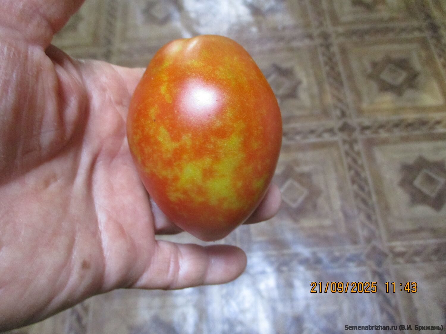 Минусинские носики