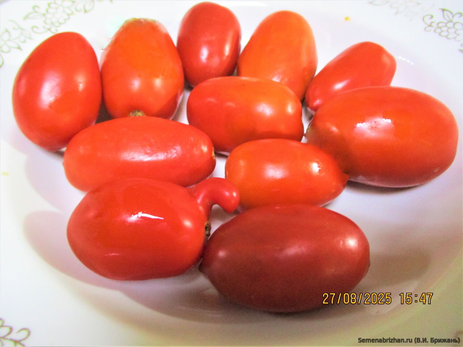 Сызранские Красные Пальчики