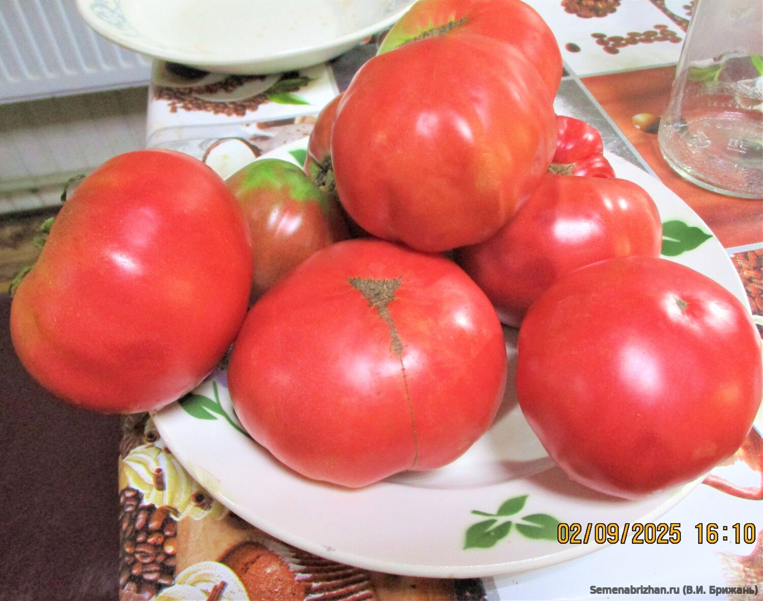 Минусинские Лапти