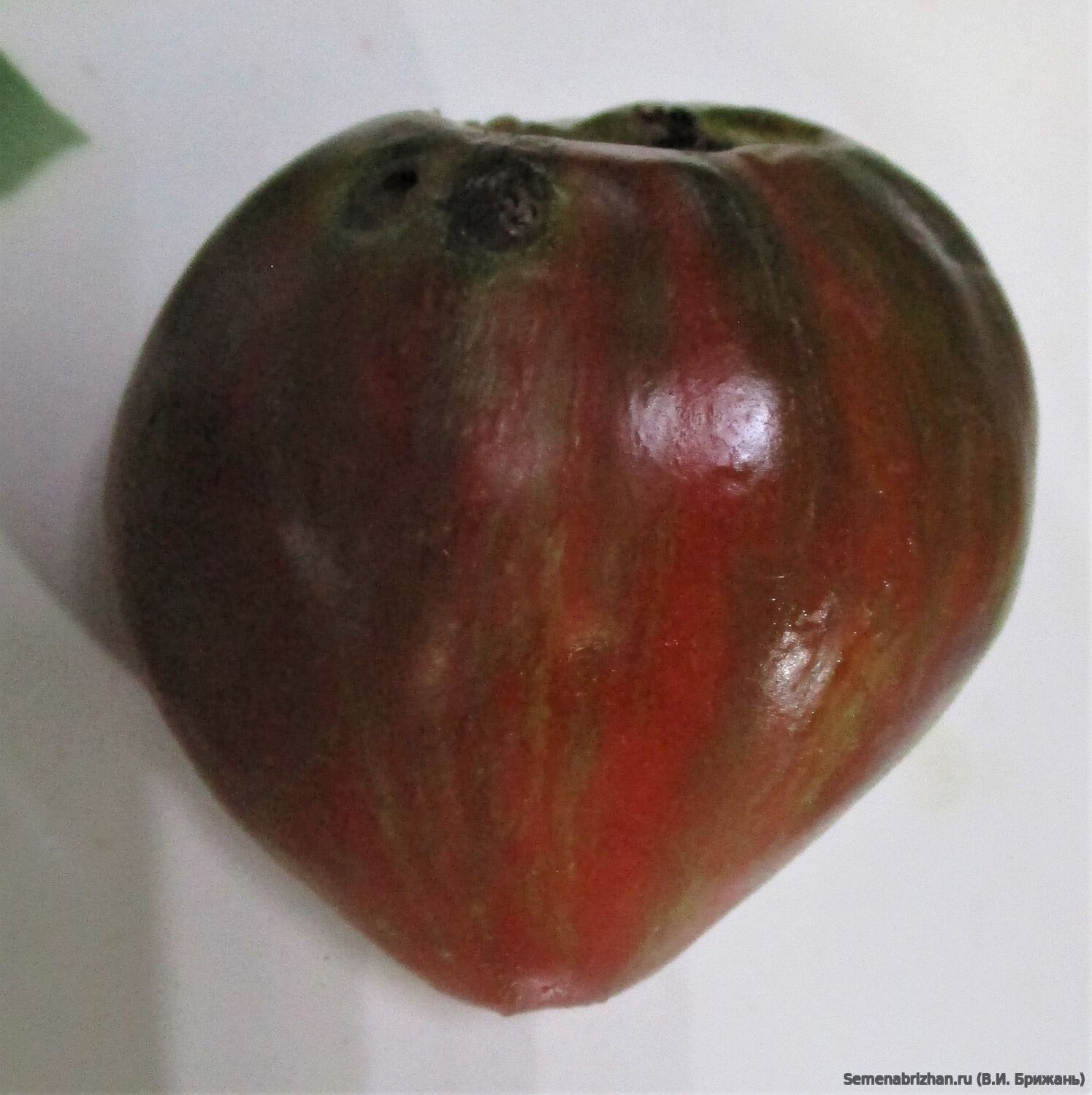 Rebel Starfighter Blaine's Moonlight