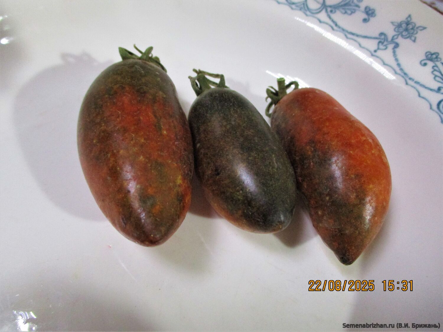 Gourmet Plum (Сливка Гурман)