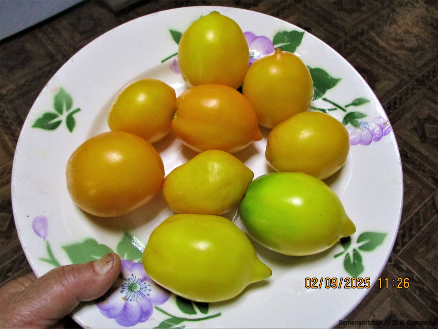 Минусинские Лимончики