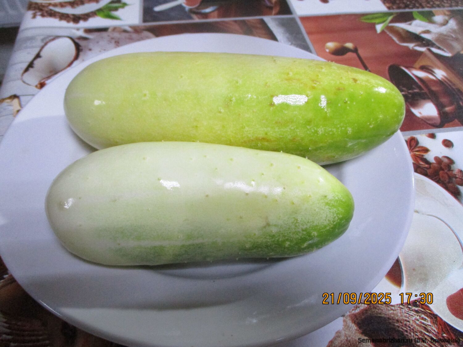 Лао Лай Шао