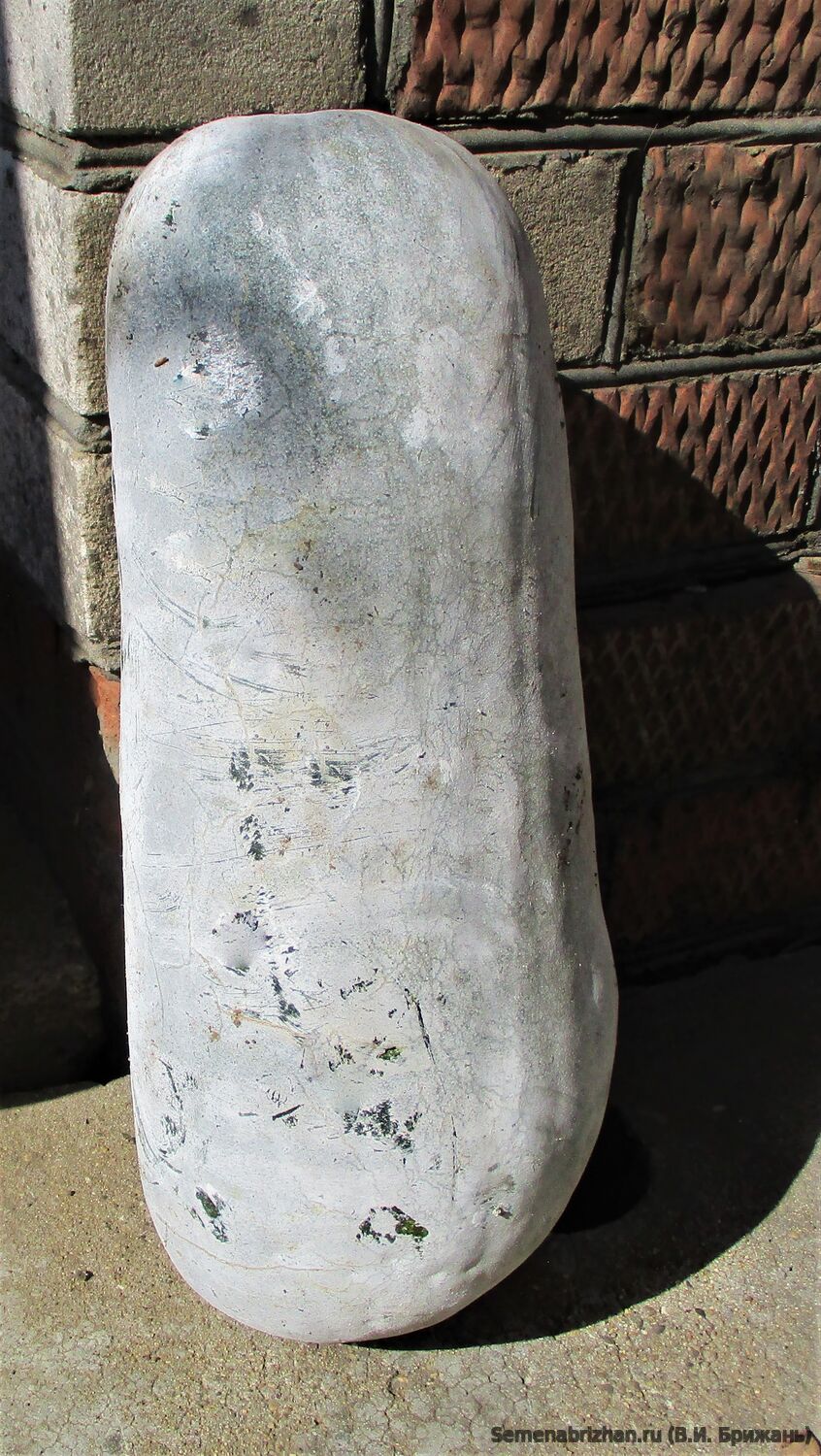 Пекин-Тонг-Нгуа