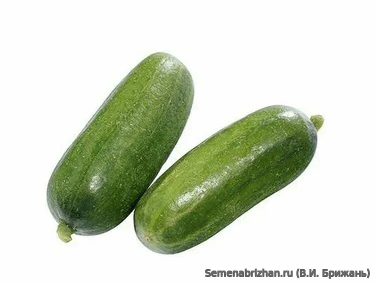 Всё гладко F2