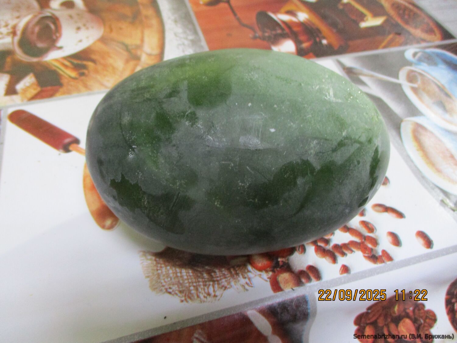 Black Mango (Черное Манго)